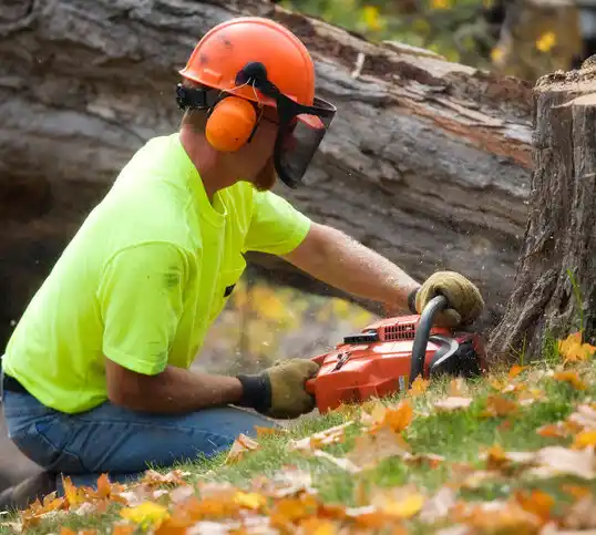 tree services Mer Rouge